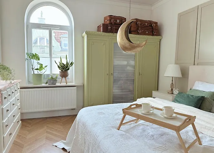 Victus Apartamenty, Velvet